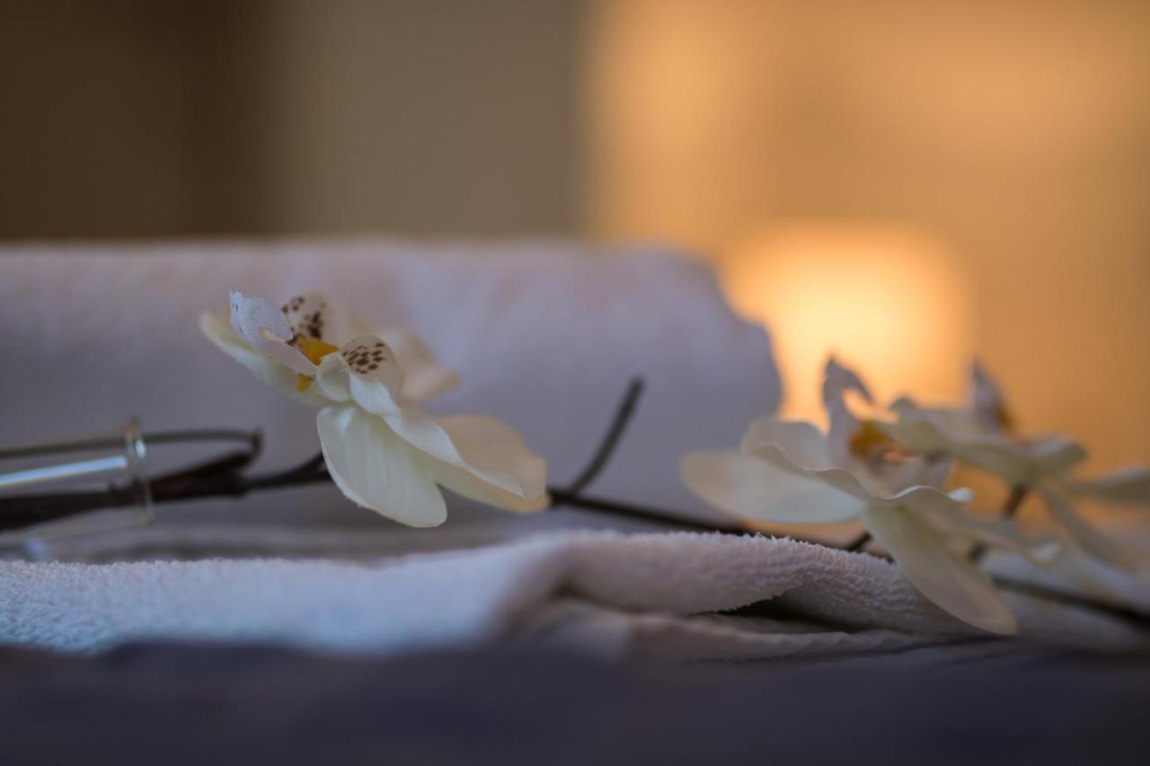 Apartments Villa Carica B&B Mimice Εξωτερικό φωτογραφία